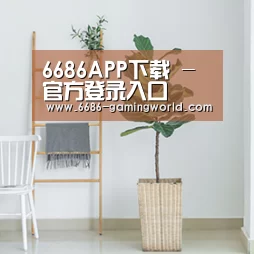 产品名称六(图1)