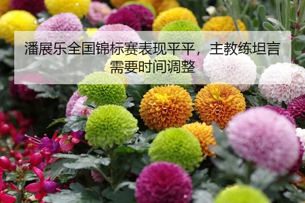 潘展乐全国锦标赛表现平平，主教练坦言需要时间调整